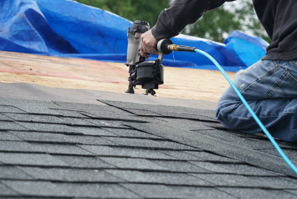 Best Metal Roofing Contractor  in Preston, TX