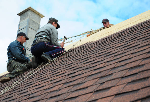 Best Commercial Roofing Services  in Preston, TX