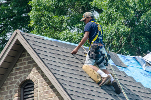 Best Local Roofing Companies  in Preston, TX